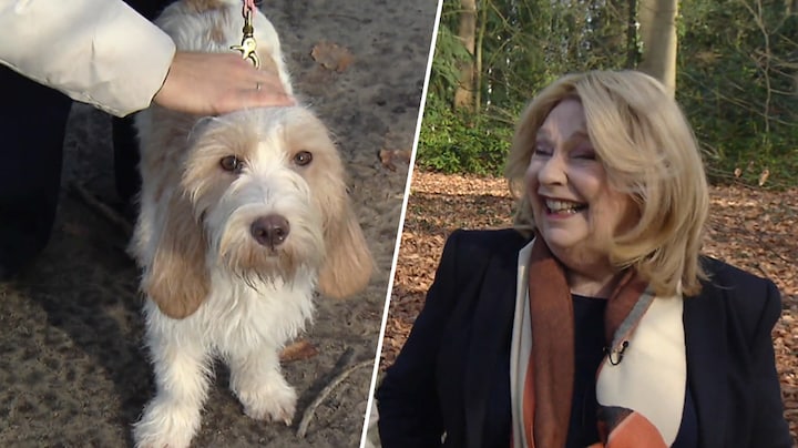 Na verdriet om Nhaan straalt Janny van der Heijden met rescuehond