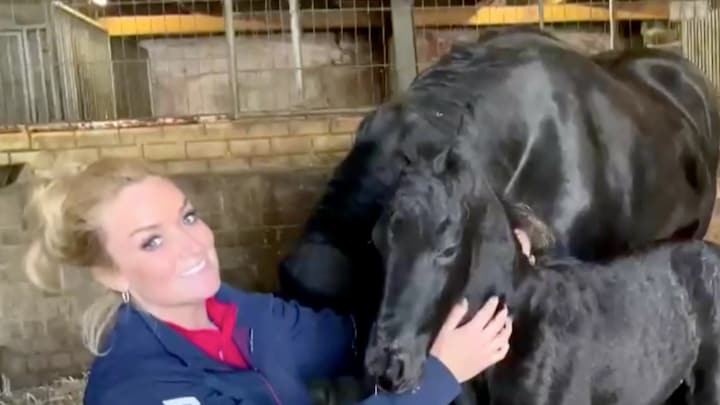 Droom komt uit voor Samantha Steenwijk: 'Veulentje geboren' 