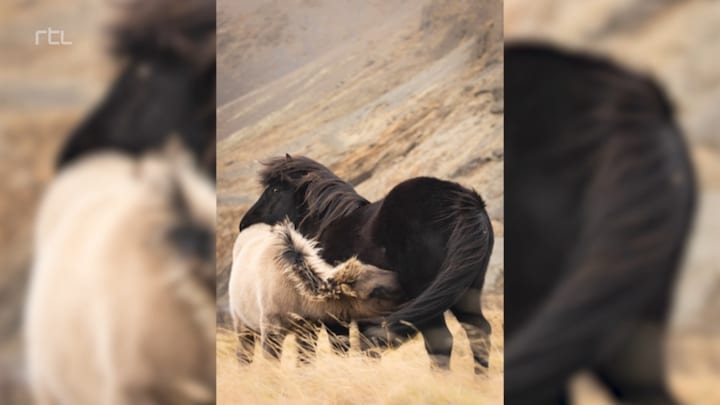 Dit zijn alle foto's van tiende week Het Perfecte Plaatje