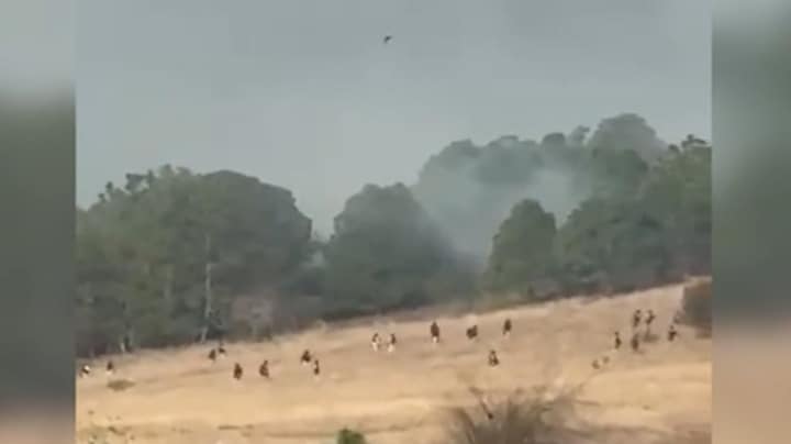 Zo werd Mexicaanse bendeleider El Mencho opgespoord en gedood