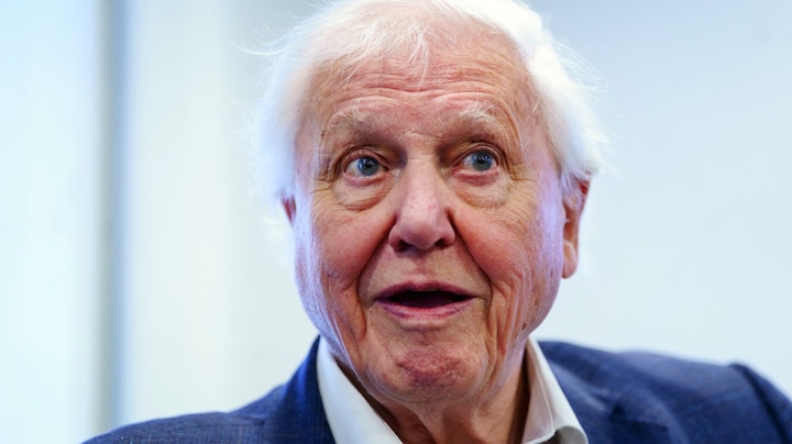 David Attenborough 100 jaar: misschien wel de beroemdste stem ter wereld