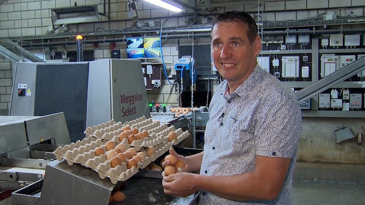 Kippenboer worden was Franks droom, nu dreigt hij zijn vergunning te verliezen