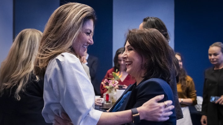 Politieke verschillen doen er even niet toe: partijen tekenen voor aanpak femicide