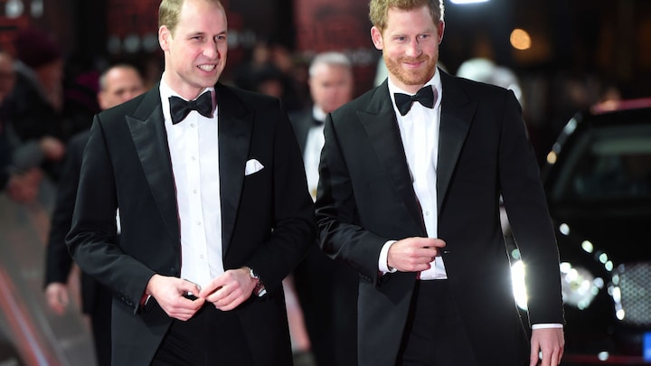 'Wel degelijk bonje tussen prins William en prins Harry'