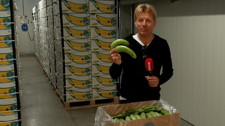 Groene banaan nieuw in het schap tegen verspilling