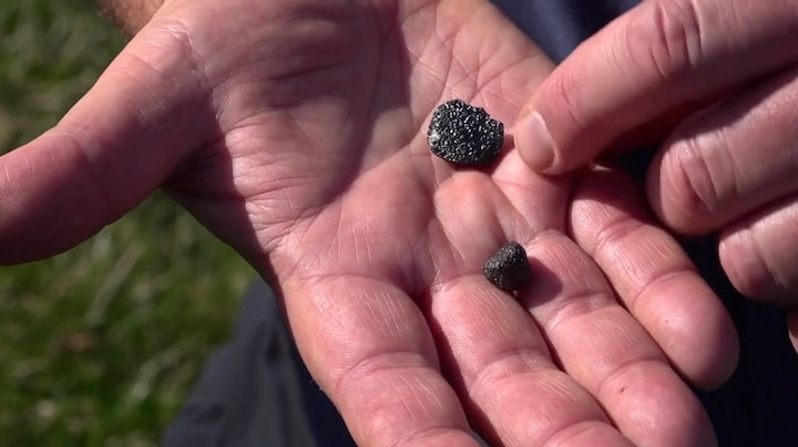 Op zoek naar stukjes meteoriet: 'De waarde is enorm'