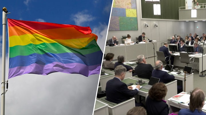 Ruime meerderheid Eerste Kamer stemt voor verbod op 'homogenezing'