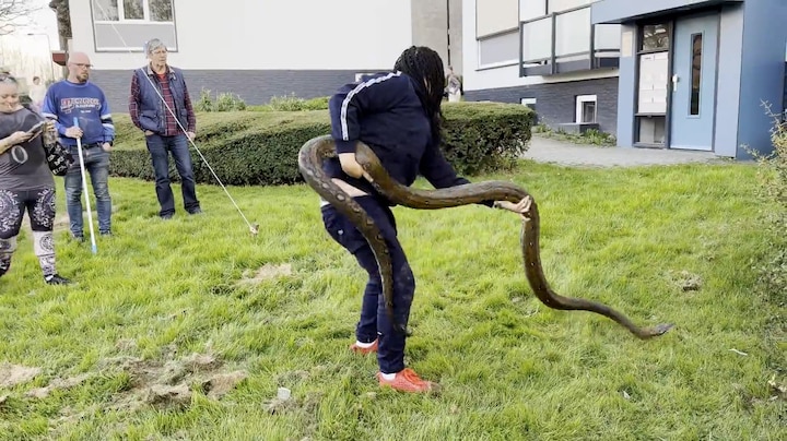 2 meter lange slang ontsnapt en gevangen in Vaals