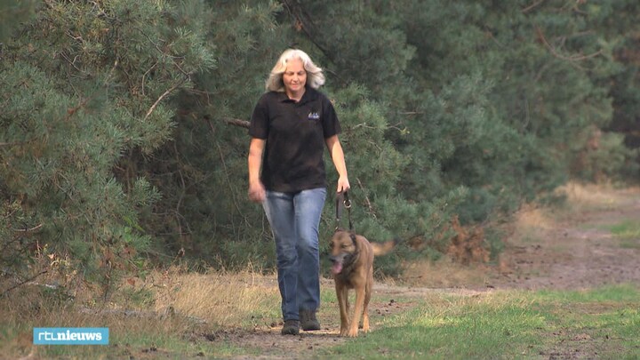 Esther Zocht Met Speurhonden Naar Verdachte Moord Nicky Verstappen ...