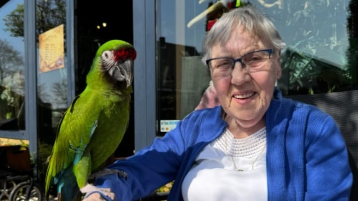 Oma Door (92) opgelicht door nepagent, trouwring met as opa weg