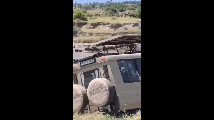 Safari gaat fout: jeep met Zwitserse toeristen stort in rivier