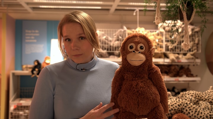 Wereldwijde run op IKEA‑aapje door beelden eenzame Punch