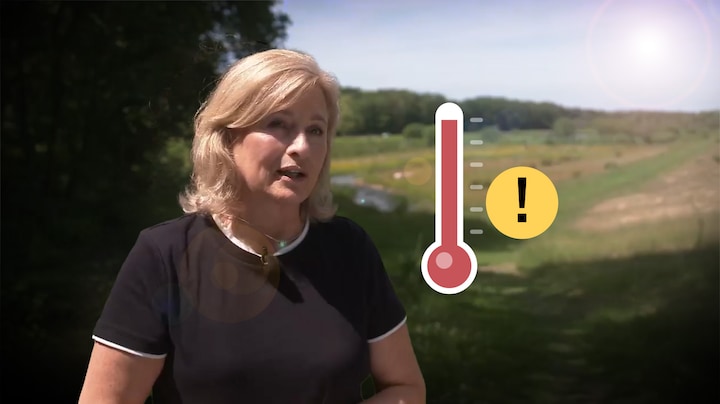Zorgwekkende stijging warme dagen van boven de 35 graden: 'Levensgevaarlijk'