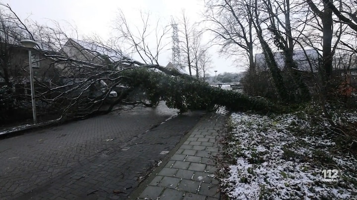 Megaboom zorgt voor grote schade in Eindhoven