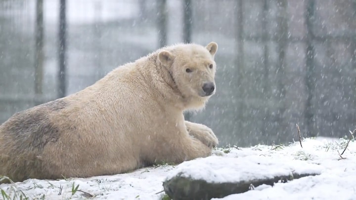 Winters weer: spekglad wegdek eist tol, maar ook sneeuwpret