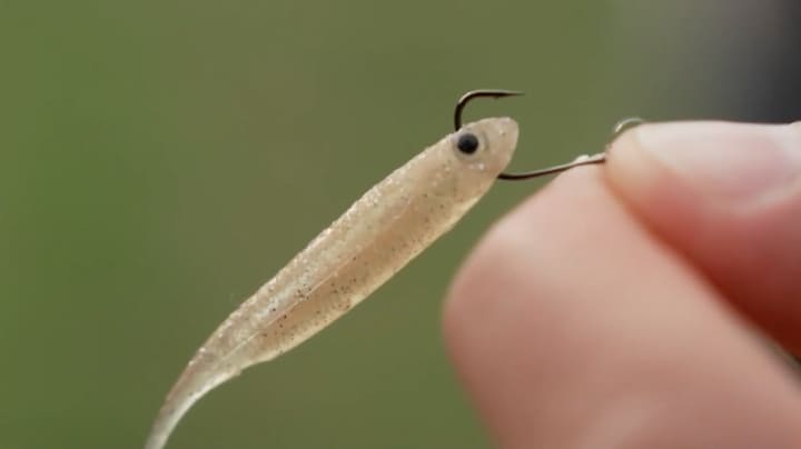 Utrechtse vissers botsen met PvdD: de partij wil weerhaken verbieden