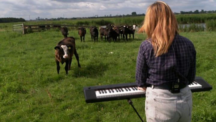 Deze componist maakt muziek voor koeien