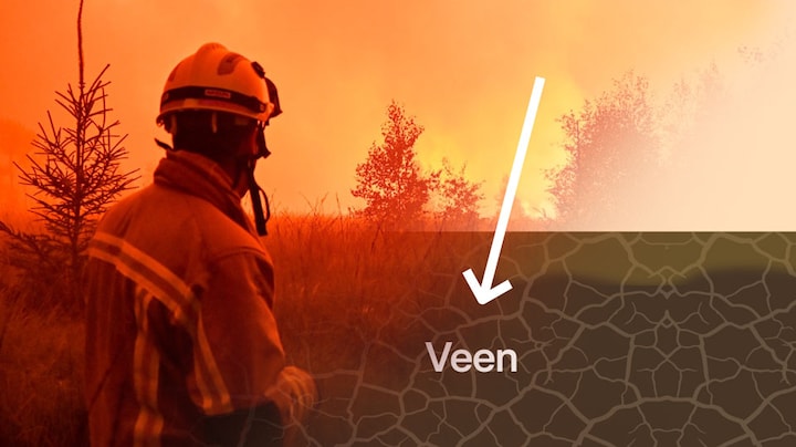 Waarom veenbranden zo moeilijk te blussen zijn 