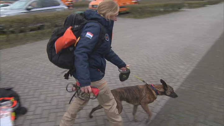 Nederlandse honden gaan op zoek naar overlevenden Turkije