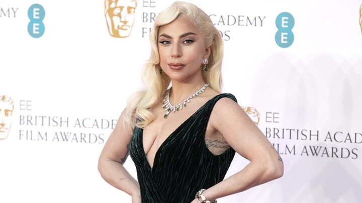 Vermissingszaak van honden Lady Gaga krijgt bizar staartje