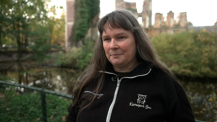 Ruiming tientallen vogels in dierenpark Born zorgt voor verdriet: ‘Er is geen leven en geluid meer’
