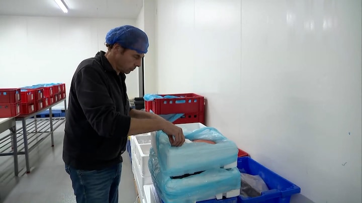  Inwoners Moerdijk kapot van verdwijnen dorp: 'Duwen dit door onze strot'