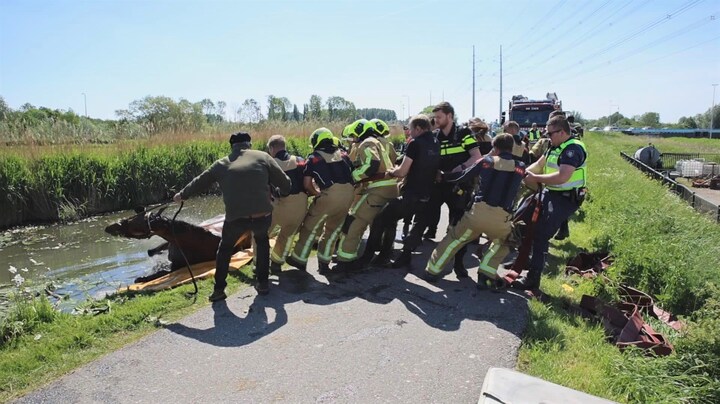 Paarden gered uit sloot Den Hoorn, liepen uit schrik water in