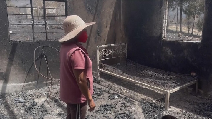 Bosbranden Mexico: huizen verwoest, dieren verbrand