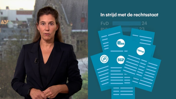 Boerkaverbod en asielstop: voorstellen deze partijen botsen met rechtsstaat