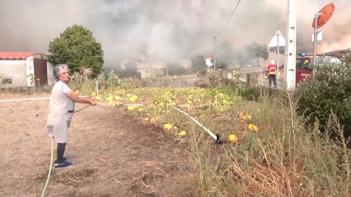 Emotionele inwoners proberen zelf bosbrand in Portugal te blussen