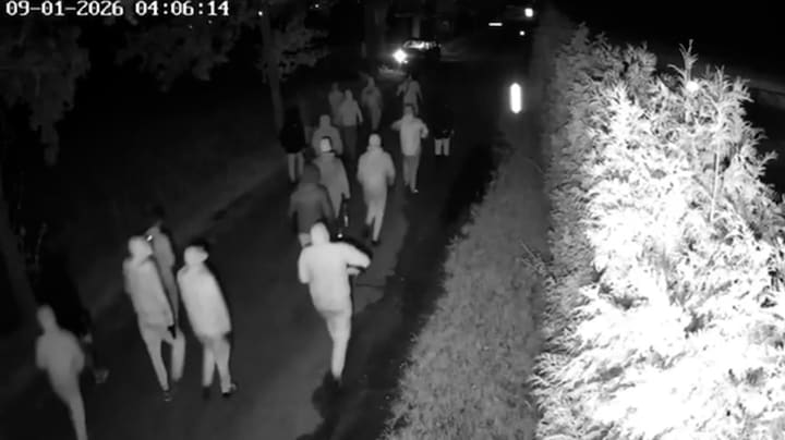 Bizarre bewakingsbeelden: schietpartij Overasselt op camera vastgelegd