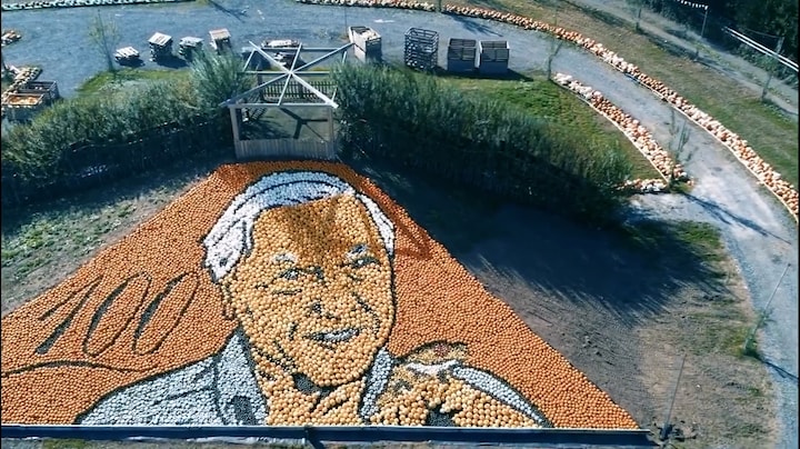 Portret van David Attenborough gemaakt van 11.000 pompoenen