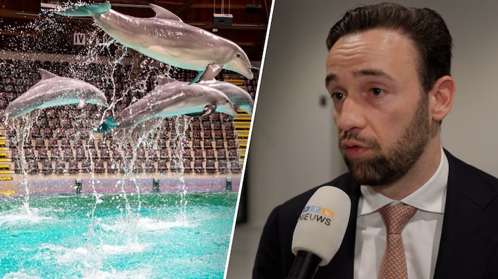 Erkens: 'Dolfinarium kan dolfijn niet bieden wat die in het wild kan krijgen'