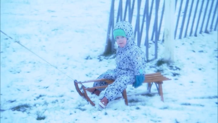 Vroege vogels maken optimaal gebruik van laagje sneeuw