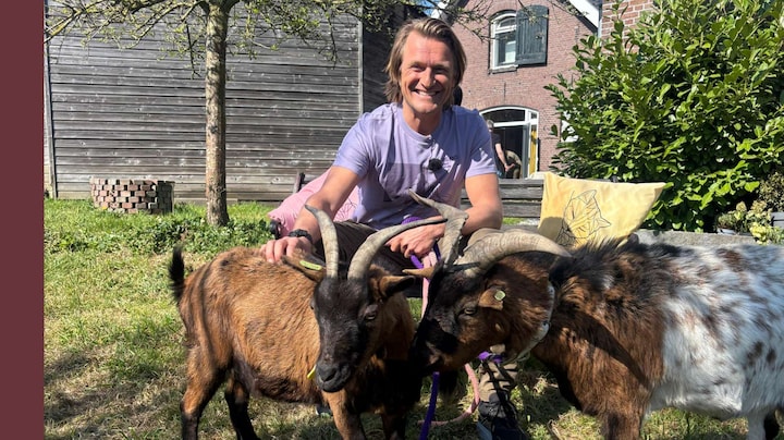 Dierenarts Piet Hellemans vertelt je alles over het houden van geitjes