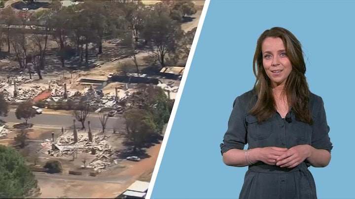 Recordhitte, hongersnood en overstromingen: dit is (weermonster) El Niño