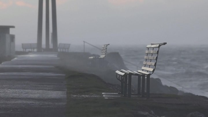 Deze schade heeft storm Éowyn aangericht in Ierland