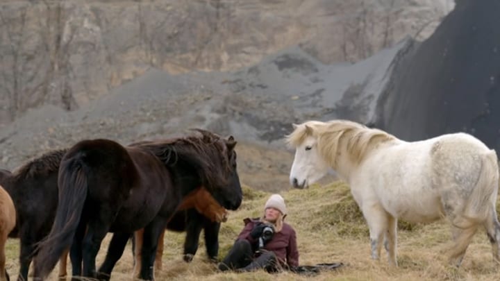 Geraldine Kemper omsingeld door paarden in Het Perfecte Plaatje: 'Dit is wat veel'