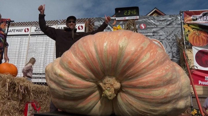 Geen boer, maar automonteur: Brandon kweekt grootste pompoen te wereld