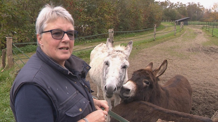 'Heb je nog plek voor 3 ezels?' Rita zorgt voor dieren van gescheiden baasjes