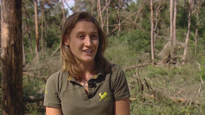Noodweer blijkt zegen voor natuur: 'Kansrijk voor dieren'