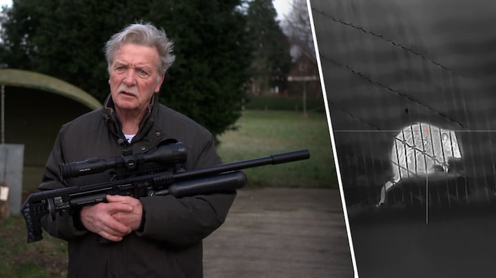 Rattenjager schiet duizenden ratten, PvdD wil het doden stoppen