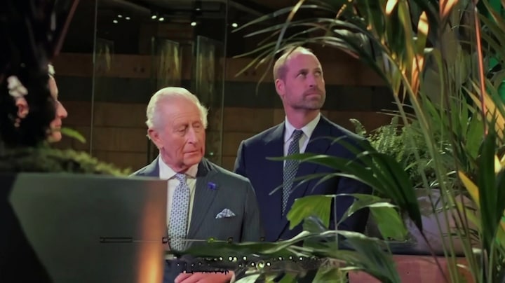 William ergert zich aan houding van koning Charles in Andrew-zaak