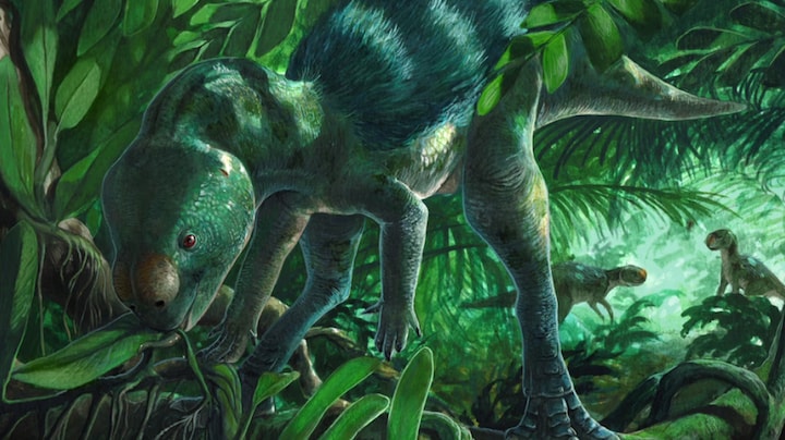 Nieuwe mini-dinosaurus ontdekt in Spanje: 'Grootte van een kip'