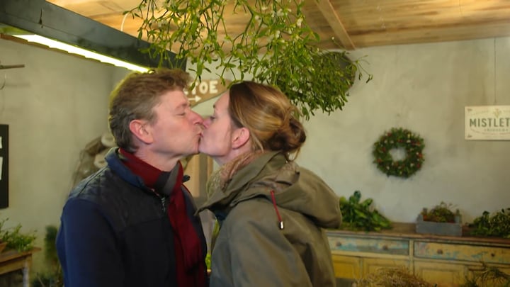 'Kissing under the mistletoe': de maretak is ook in ons land populair