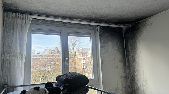 Zwarte schimmel en vocht: sociale huurwoningen in slechte staat 
