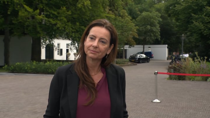 Minister kijkt naar wet topinkomens na combineren banen NOS-directeur
