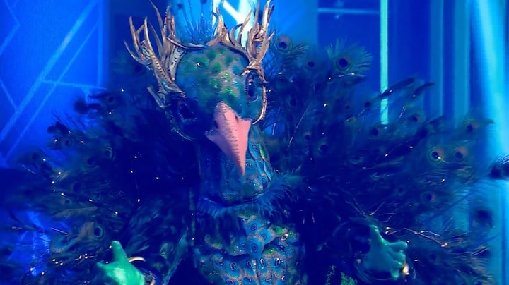 De Pauw spreidt zijn veren: wie laat zich hier echt horen?