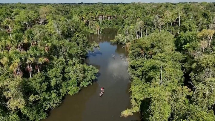 Amazone bijna niet meer te redden en dat gaat de hele wereld voelen