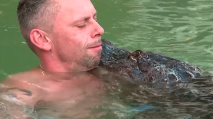 Duitse circusfamilie zwemt met alligator: 'Ze is als een grote zus'